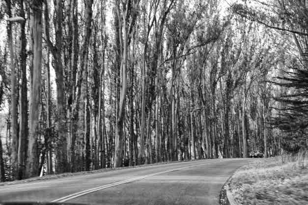 Presidio Road
